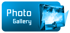 photo gallery icon